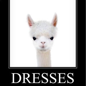Dresses